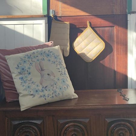 Bed and Breakfast Bateau Entre Lille Et Paris Thourotte Exterior foto