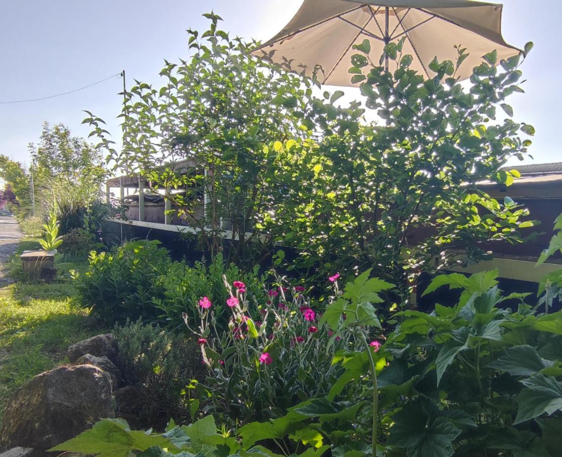 Bed and Breakfast Bateau Entre Lille Et Paris Thourotte Exterior foto